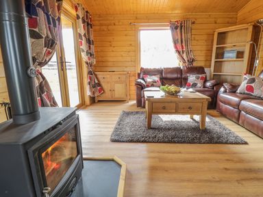 A living room with a wood burning stove sofas coffee table and wooden shelves at Manor Farm Lodges - Red Kite Lodge in Newtown