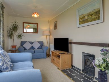 A living room with blue sofas a television on a wooden stand a floor lamp a fireplace and paintings at The Quillet in Pendeen