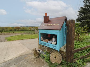 A small blue wooden roadside stand shaped like a house selling farm fresh eggs and local honey at Post House in Holsworthy