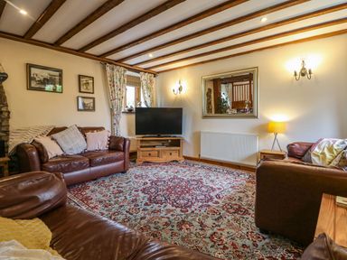 A living room with leather sofas a patterned rug a television on a wooden stand and a large mirror on the wall at The Croft in Holsworthy