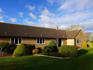 A single story house with a tiled roof and trimmed bushes on a lawn at Holly Edge in Moorsholm