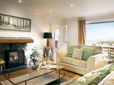 A living room with sofas pillows a fireplace a glass coffee table and a large window at Holly Edge in Moorsholm