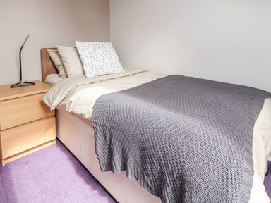 A bedroom with a bed covered with beige and gray blankets and a wooden nightstand with a lamp on purple carpet at Palm Court in Burton-in-Kendal
