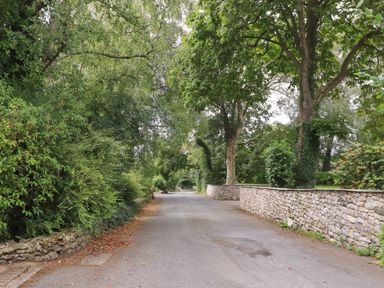 A paved road lined with stone walls and trees with green foliage at Palm Court in Burton-in-Kendal