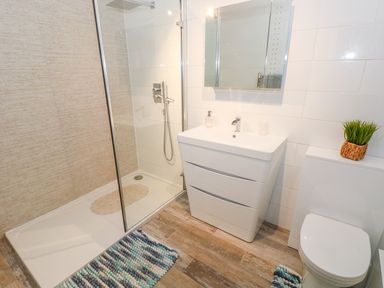 A bathroom with a walk-in shower a white sink with a mirror a toilet and rugs on a wooden floor at Swn y mor in Amroth