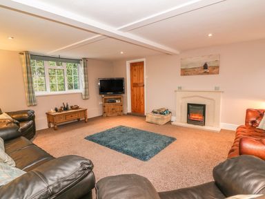 A living room with leather sofas a fireplace a television and wooden furniture at Fisher Granary in Lampeter