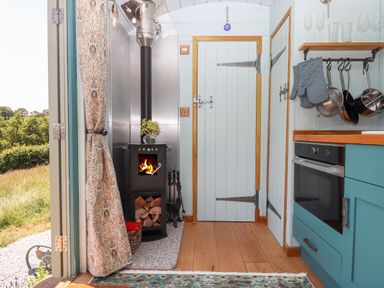 A kitchen area with a wood burning stove and a door with blue painted panels at Two Moors Shepherds Hut in Hittisleigh
