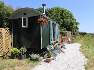 A green shepherds hut with open blue doors surrounded by plants and outdoor seating at Two Moors Shepherds Hut in Hittisleigh