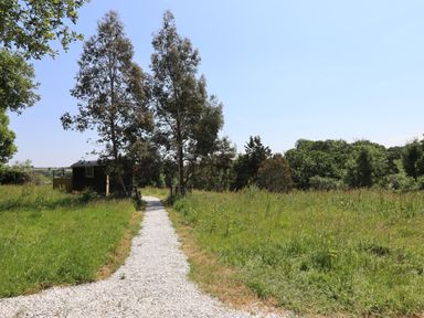 A gravel path leading through grass fields to a small dark cabin near trees at Two Moors Shepherds Hut in Hittisleigh