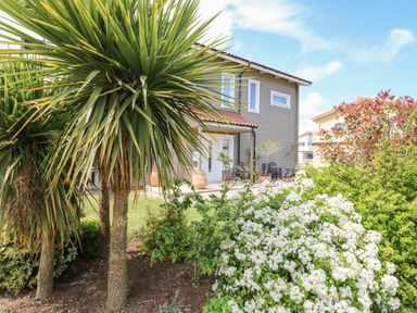 A house with a patio and garden including palm trees and white flowering bushes at Links View in Fritton