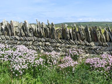 A stone wall with flowers in front at Smugglers Cottage Trebarwith Strand near Tintagel
