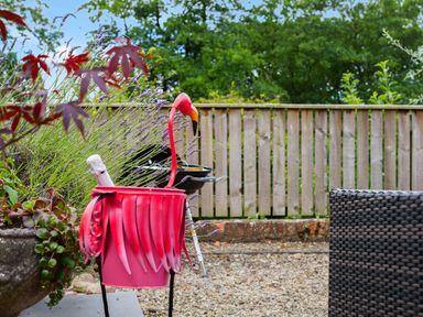 A garden with a pink flamingo shaped container holding a bottle next to plants a barbecue and a rattan chair at Manor Cottage in Northallerton