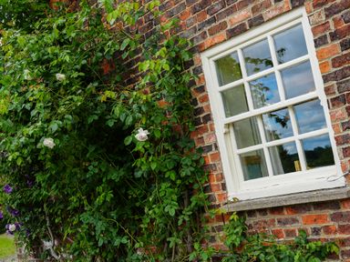 A brick wall with a white window and green leafy plants with white flowers at Manor Cottage in Northallerton