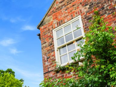 A close-up of a brick house wall with a white window and green plants growing around it at Manor Cottage in Northallerton