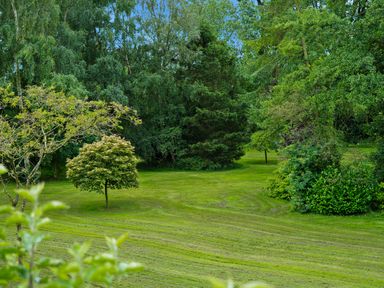 A garden area with several trees and bushes and freshly mowed grass at Manor Cottage in Northallerton