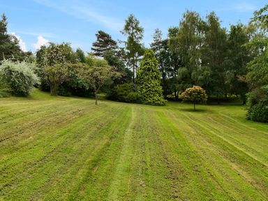 A large grassy lawn with scattered trees and bushes under a blue sky at Manor Cottage in Northallerton