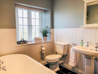 A bathroom with a bathtub toilet sink window with blinds and a plant on the windowsill at Penlaurel in Launceston