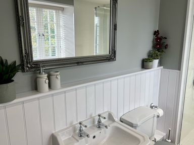 A bathroom with a sink and toilet under a large mirror with decorative frame and plants on the shelf at Penlaurel in Launceston