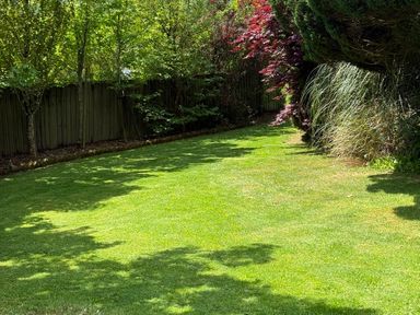 A garden with grass and trees at Penlaurel in Launceston