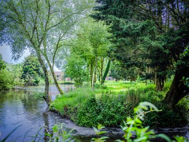 A green park area with trees by a river and buildings in the background at Dragonfly in Bridgwater