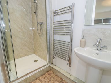 A bathroom with a shower enclosure a wall-mounted heated towel rail and a sink with a soap dispenser at Hendre Wylan in Llanaber