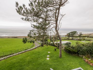 A grassy yard with trees and a tire swing near a coastal area at Hendre Wylan in Llanaber