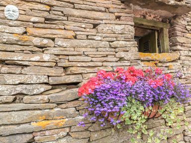 A stone wall with a small window and a flower pot containing red and purple flowers and green vines at The Cow Cott in Hereford