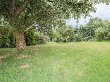 A grassy garden area with several large trees and bushes at The Cow Cott in Hereford