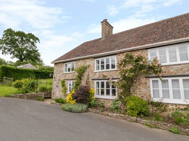 A stone cottage with white framed windows and climbing plants outside at Whitehall Farm Cottage in Honiton