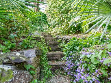 Stone steps surrounded by green plants and purple flowers in a garden at Downlea in Looe