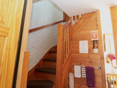 A wooden staircase with carpeted steps and patterned wallpaper at Swallow Lodge in Amble