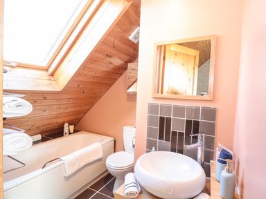 A bathroom with a bathtub under a skylight window a toilet and a round basin sink with a mirror above at Swallow Lodge in Amble