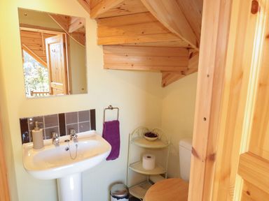 A small bathroom with a white sink a mirror wooden ceiling a towel rack with a purple towel and a white corner shelf near a toilet at Swallow Lodge in Amble