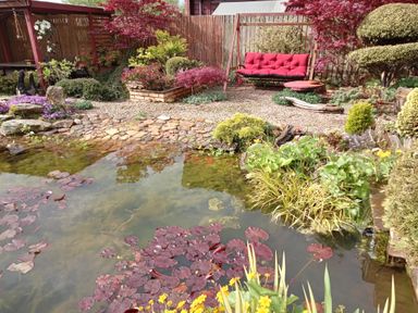A garden with a pond filled with lily pads surrounded by various plants and a red cushioned swing at Swallow Lodge in Amble