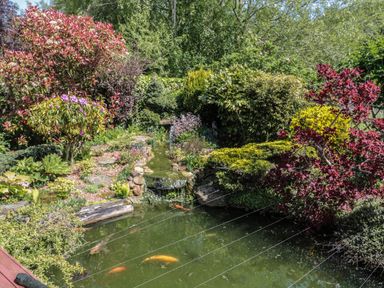 A garden pond with koi fish surrounded by various shrubs and plants at Swallow Lodge in Amble