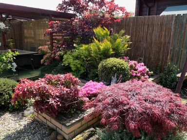 A garden with various plants and shrubs surrounding a raised brick planter and a wicker table set behind a bamboo fence at Swallow Lodge in Amble