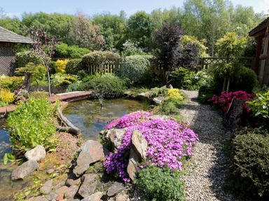 A garden with a pond a gravel path and various plants and flowers at Swallow Lodge in Amble