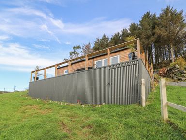 A wooden cabin with a metal fence on a grassy hill surrounded by trees at Haka Lodge in Devil's Bridge