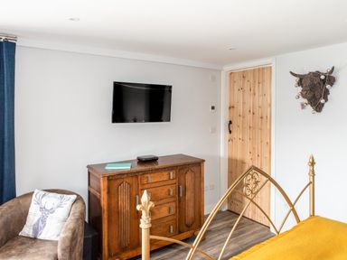 A bedroom with a wooden dresser under a wall-mounted TV a brown armchair with a deer pillow a wooden door a brass bed frame and a decorative bull head on the wall at Haka Lodge in Devils Bridge