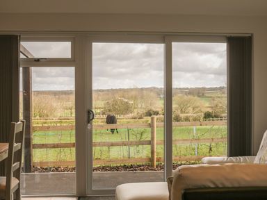 A living room with a white sofa and wooden chairs overlooking a green field with a horse at Upham View in Woodbury