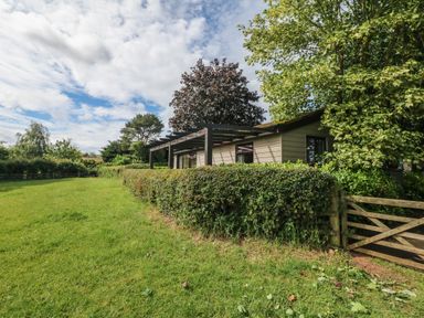 A garden with a hedge fence and a wooden gate next to a single-story house at Upham View in Woodbury