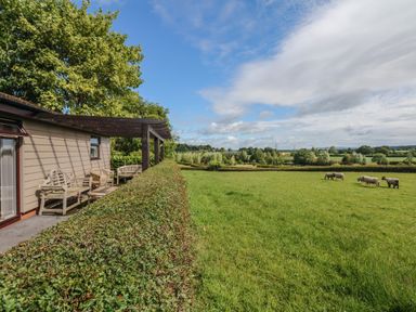 A patio with wooden benches beside a hedge overlooking a field with sheep at Upham View in Woodbury