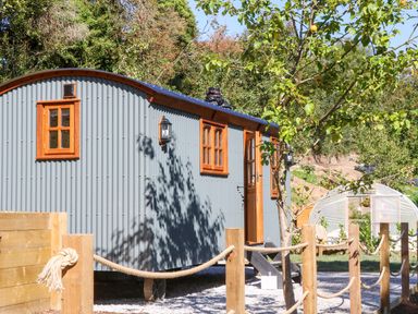 An outdoor area with a grey corrugated metal cabin with wooden windows and door a tree a greenhouse and a wooden fence with rope at Little Silver Fox in High Bickington