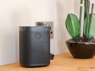 A black Sonos speaker on a wooden surface next to a black pot with green leafy plant at Little Silver Fox in High Bickington
