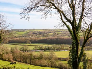 A rural landscape with trees cows and fields at Little Silver Fox in High Bickington