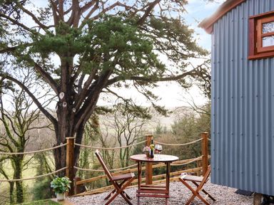 A small outdoor seating area with two wooden chairs and a round table with wine and flowers near a blue corrugated metal building at Little Silver Fox in High Bickington