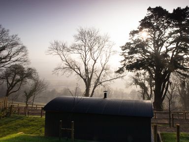A corrugated metal shed on grass with trees and sun shining through branches at Little Silver Fox in High Bickington