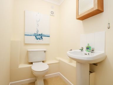 A small bathroom with a toilet, a sink with soap, a mirror cabinet, and water splash wall art at Pugwash Cottage in Falmouth