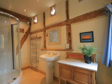 A bathroom with a shower cabin pedestal sink wooden cabinet plant and wall art at Whites Farm Barn in Ledbury