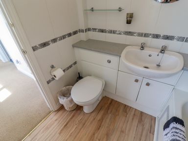 A bathroom with a toilet sink countertop and wooden floor at Pheasant Cottage in Minster Lovell